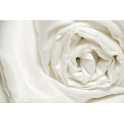 Taie d’oreiller Satin de Coton “ Blanc de France“